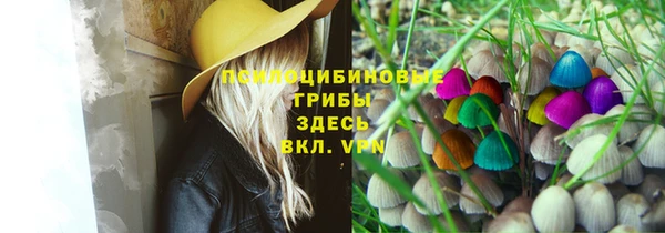 a pvp Верхний Тагил