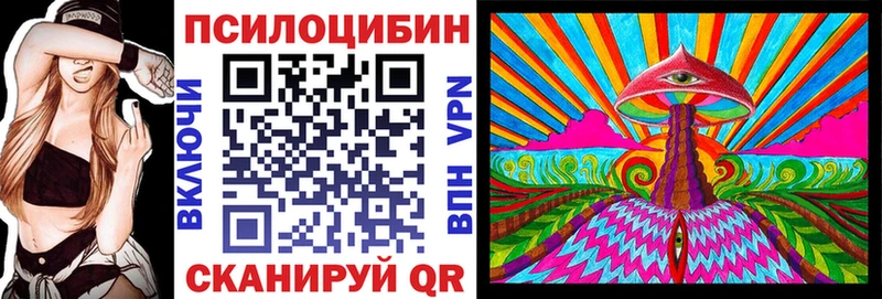 Псилоцибиновые грибы мицелий  Купить где  Ливны 
